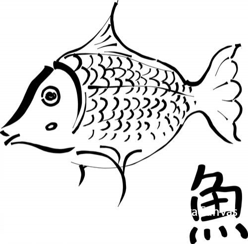 물고기 1