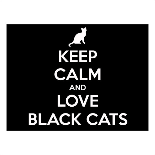 CI134 _ BLACK CAT